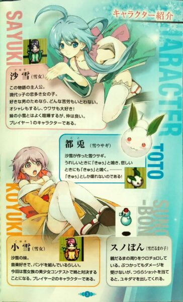 雪ん娘大旋風 　WII 説明書かなり綺麗です 雪ん娘大旋風 WII 説明書かなり綺麗です