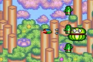 「ファンタジーゾーンGear オパオパJr.の冒険」ステージ１－２